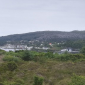 Another long distance view, with forestry encroachment